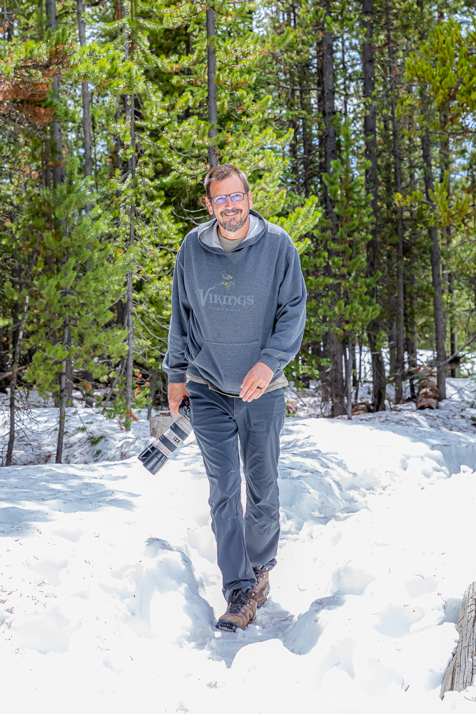 Snowy paths make a great way to see some of the forest in a bright light.