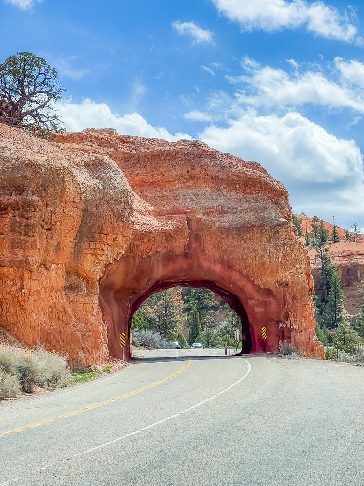 Fall in LOVE with Bryce Canyon National Park